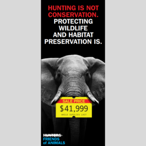 Hunting Is Not Conservation Brochure - 50 for $4