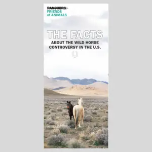 The Facts About wild Horses- 25 for $3