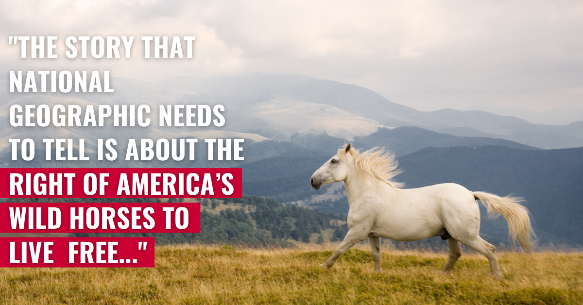 Friends of Animals National Geographic (Mis)Adventures writing about