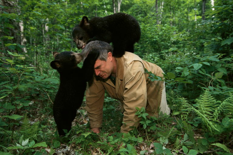 Friends of Animals | Meet Ben Kilham — the man who gives black bears a