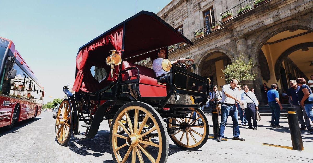 Chicago to ban horse-drawn carriages from 2021