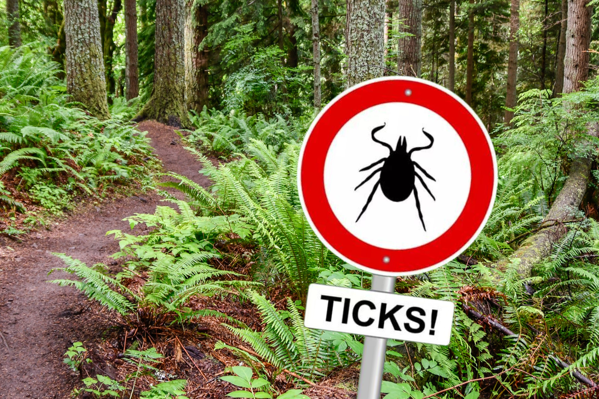 Friends of Animals | Tick precautions that won’t come back to bite you ...