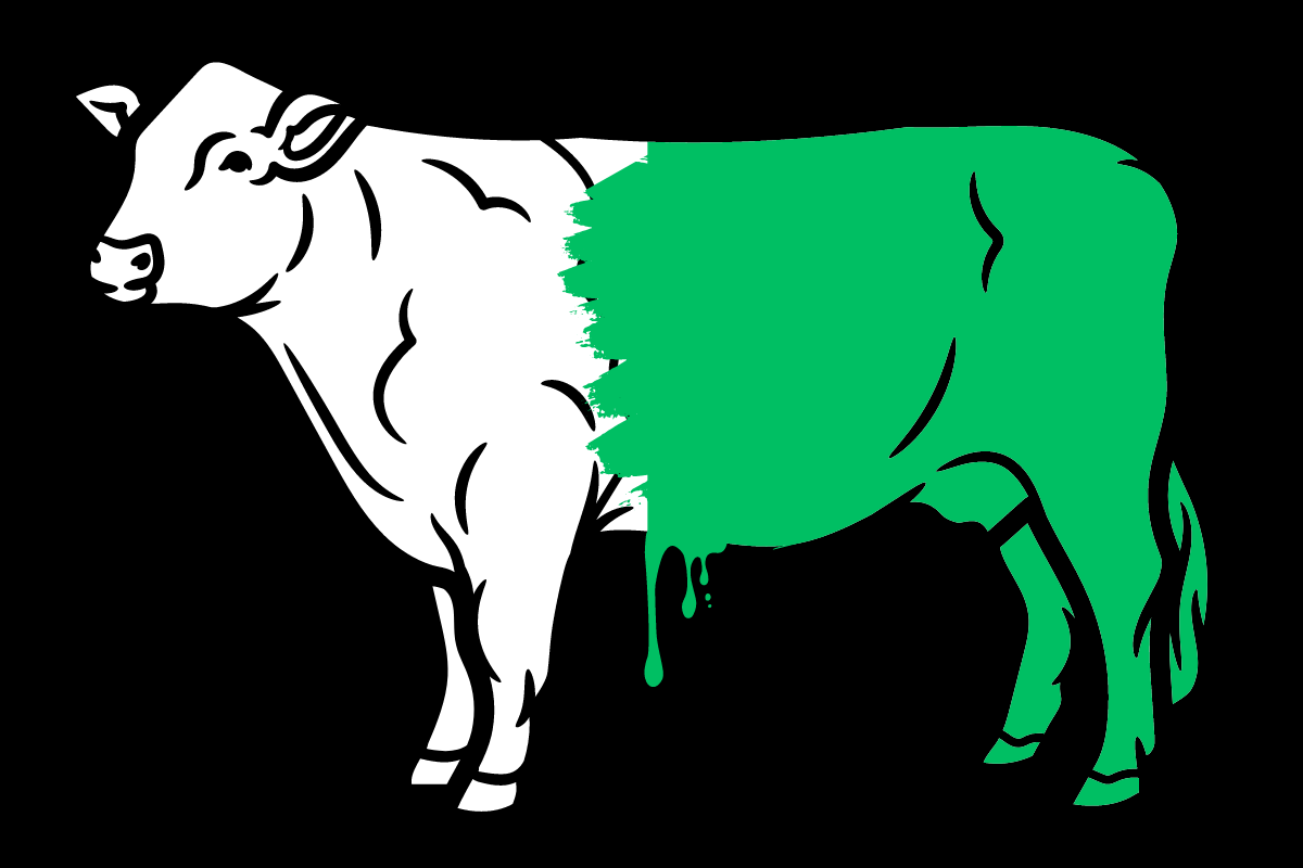 painted cow