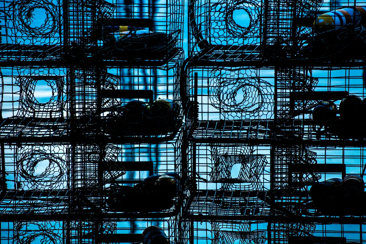 lobster traps