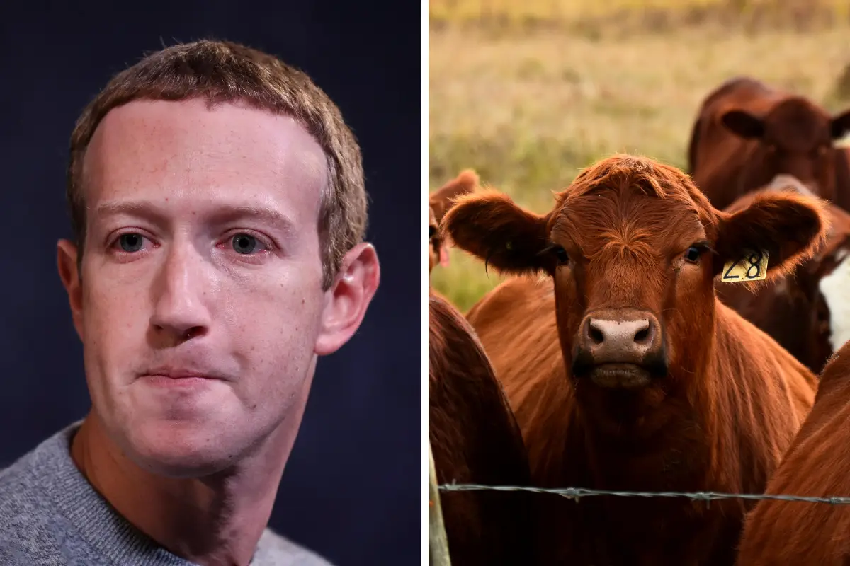 Mark Zuckerberg