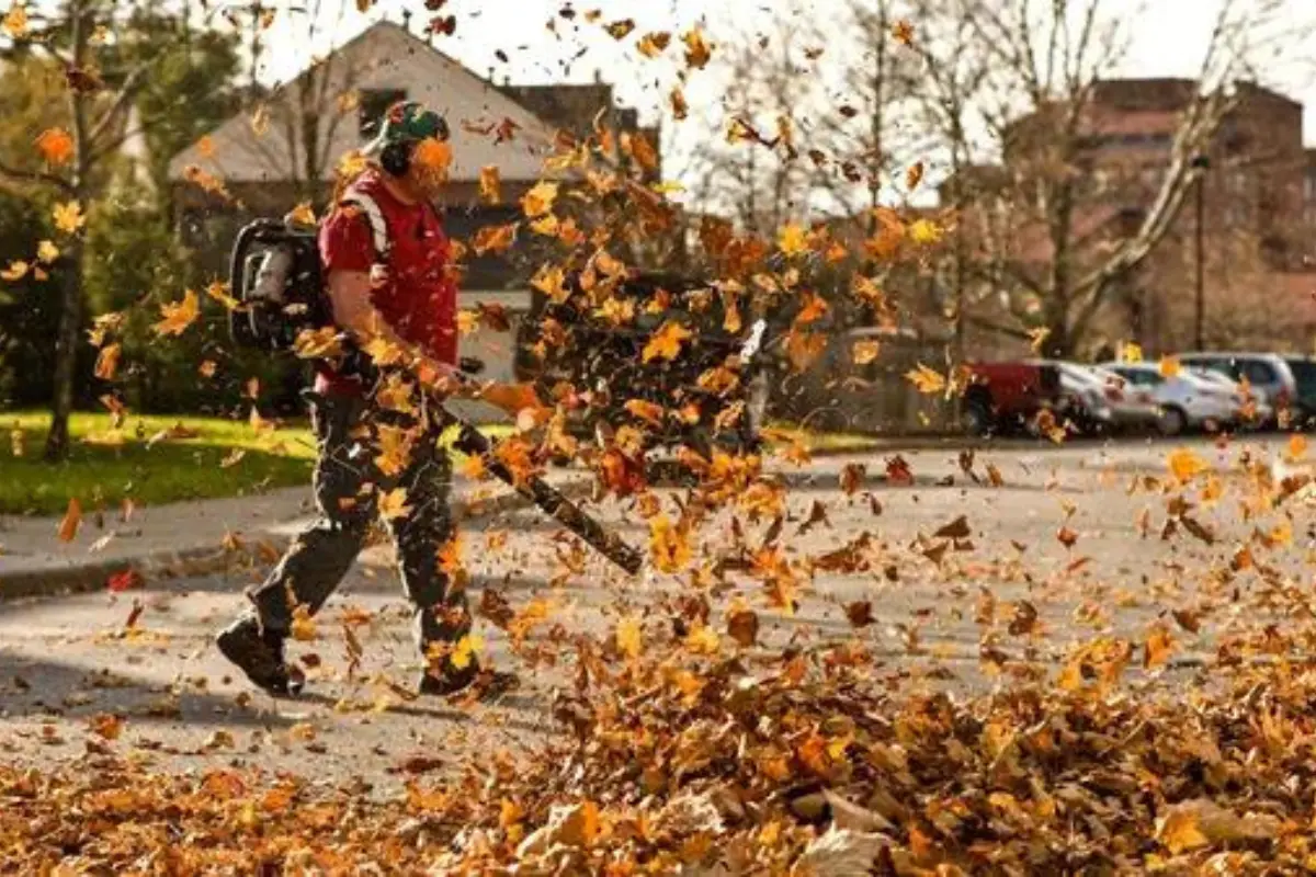gas-powered leave blower