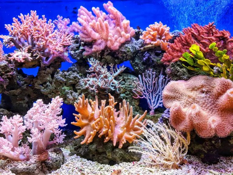 Reef safe sunscreen is a beach bag essential