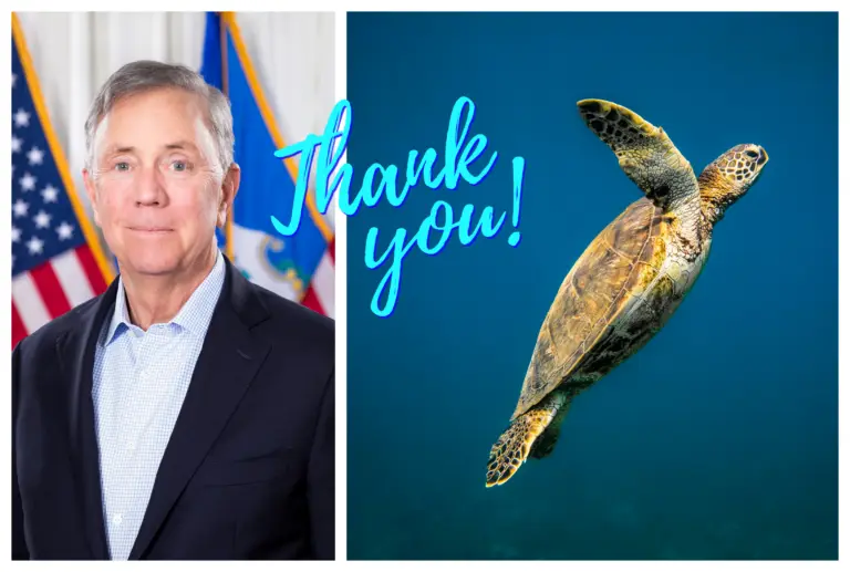 Cheers to CT Gov. Lamont for protecting marine life by banning balloon releases