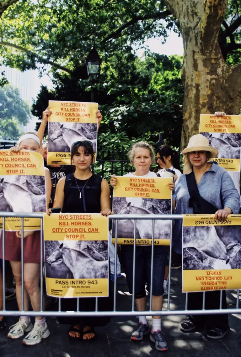 NYC carriage horse trade has no future but FoA will make sure the horses do