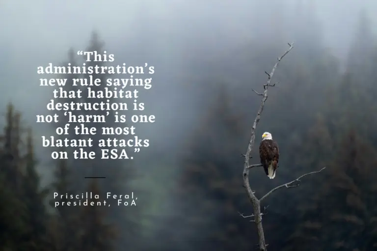 We need your help asking Congress to reign in this administration’s attacks on the ESA