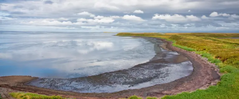 Cheers: Federal judge blocks deal that would’ve allowed a road to be built through Alaskan wildlife refuge